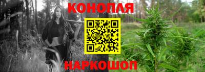 мдпв Нальчик