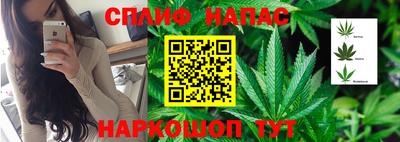 шишки Наро-Фоминск