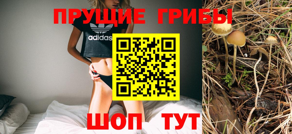 Псилоцибиновые грибы MAGIC MUSHROOMS  Вход с VPN  Семёнов  Псилоцибиновые грибы MAGIC MUSHROOMS 